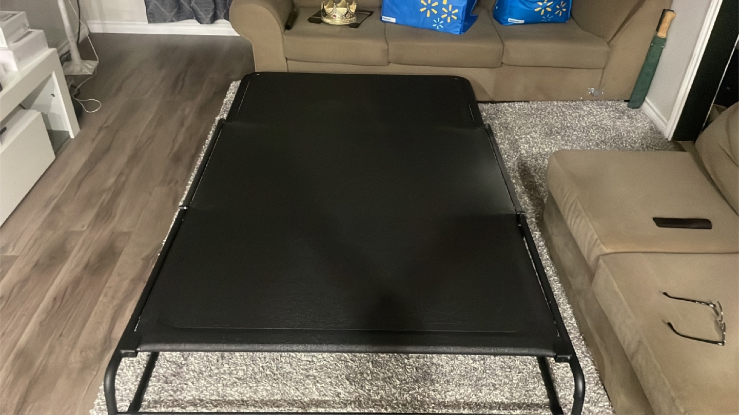 IKEA NYHAMN Sleeper Sofa Bed - Black - photo 3