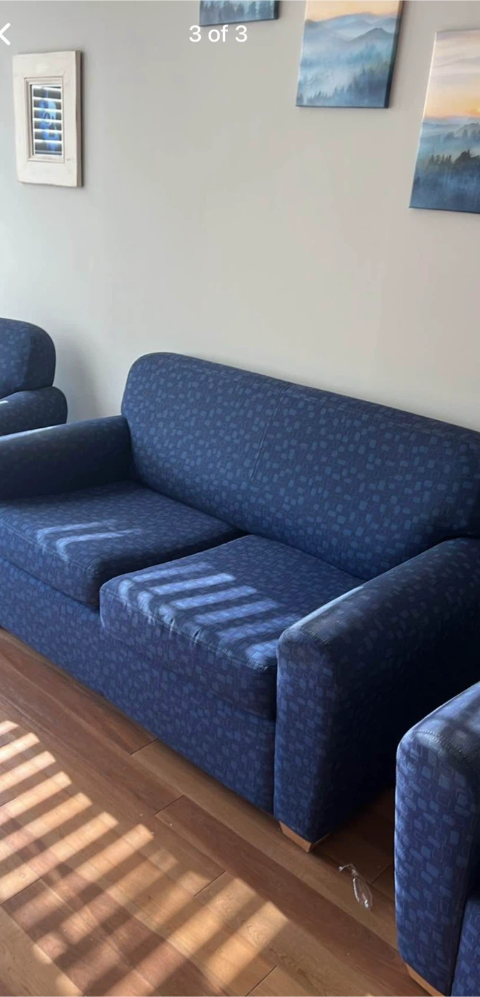Blue Loveseat and Armchair Set