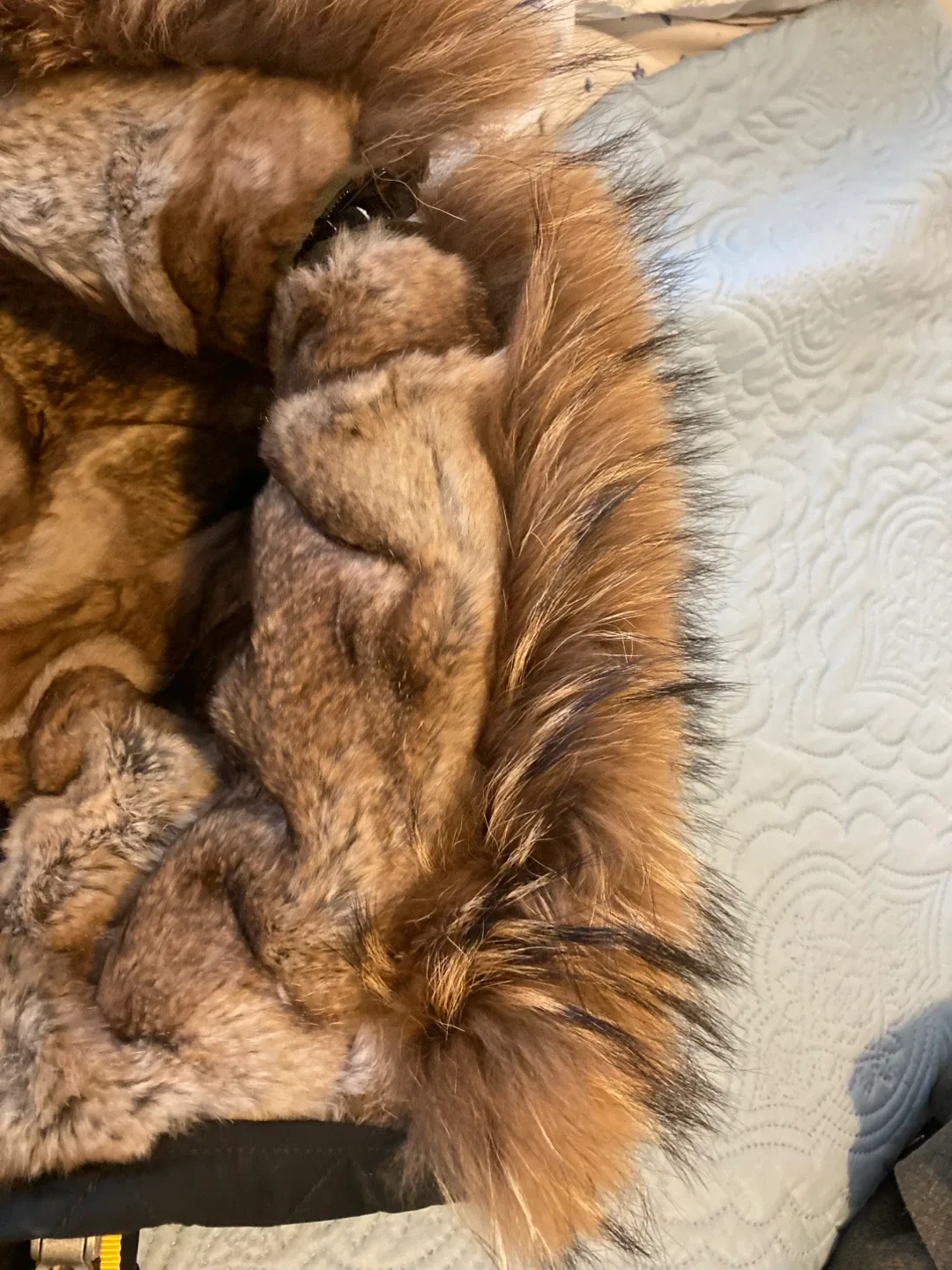 Parajumpers Gobi Bomber Womens XS image indicator(3)