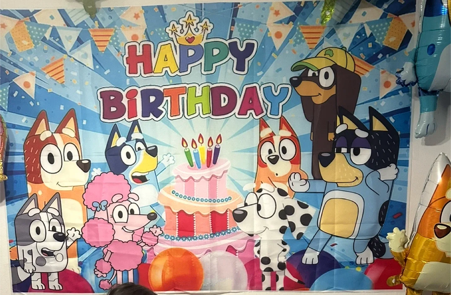 Bluey Happy Birthday Backdrop - 150x100cm thumbnail