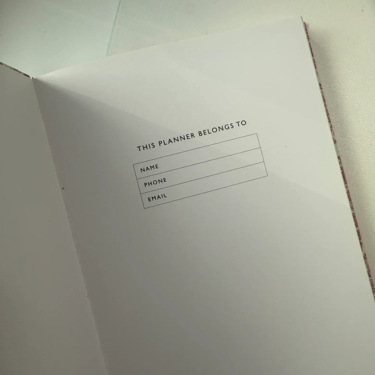 Urban Outfitters daily planner NEW image indicator(3)