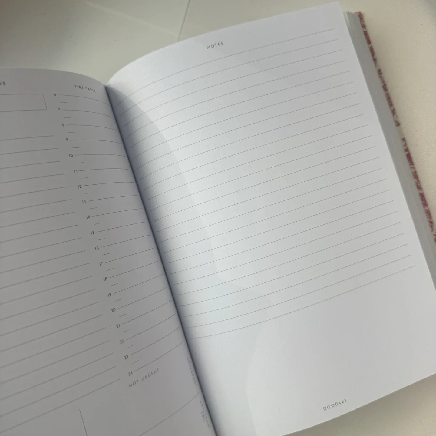 Urban Outfitters daily planner NEW image indicator(6)