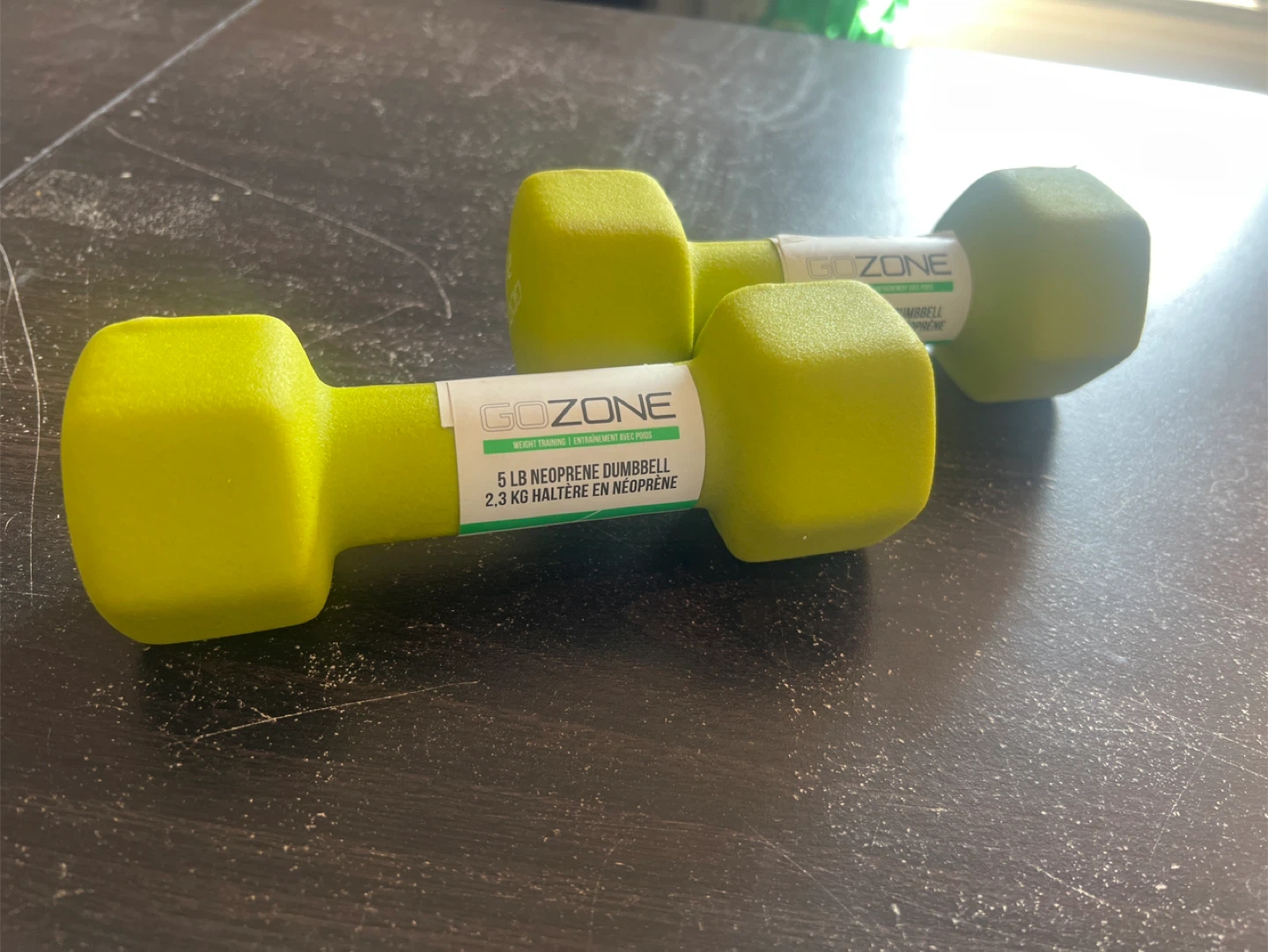 GoZone 5 lb Dumbbell Set