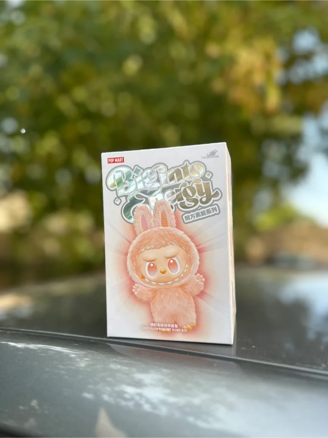 Labubu thumbnail