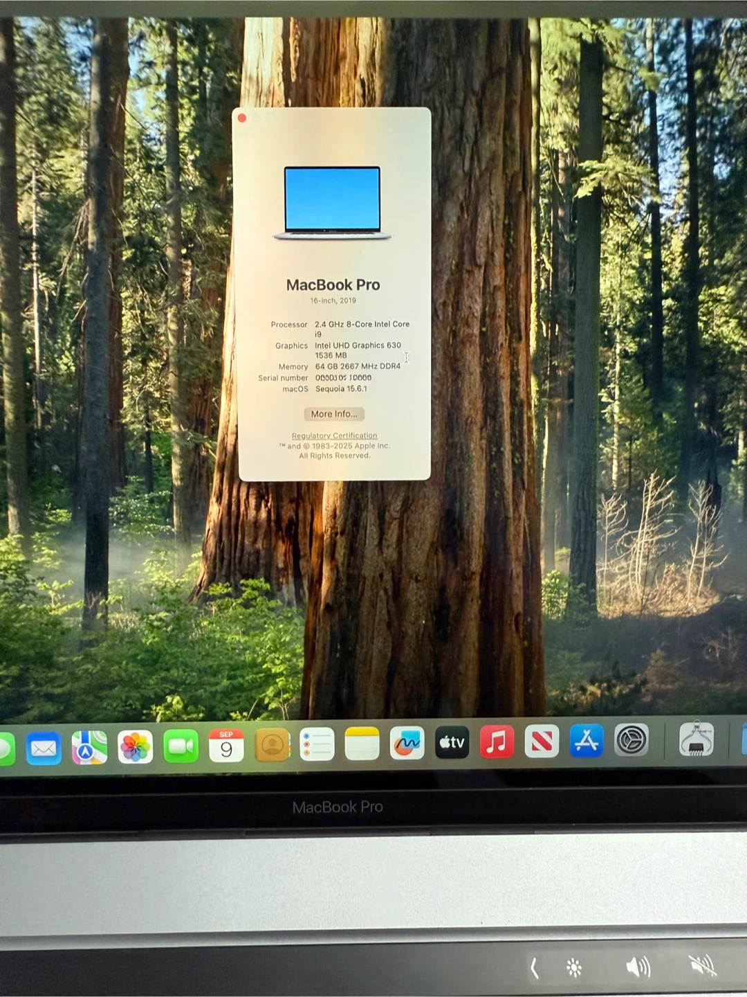 MacBook Pro 16-inch, 2019 i9 64GB/512 GB SSD Mint condition