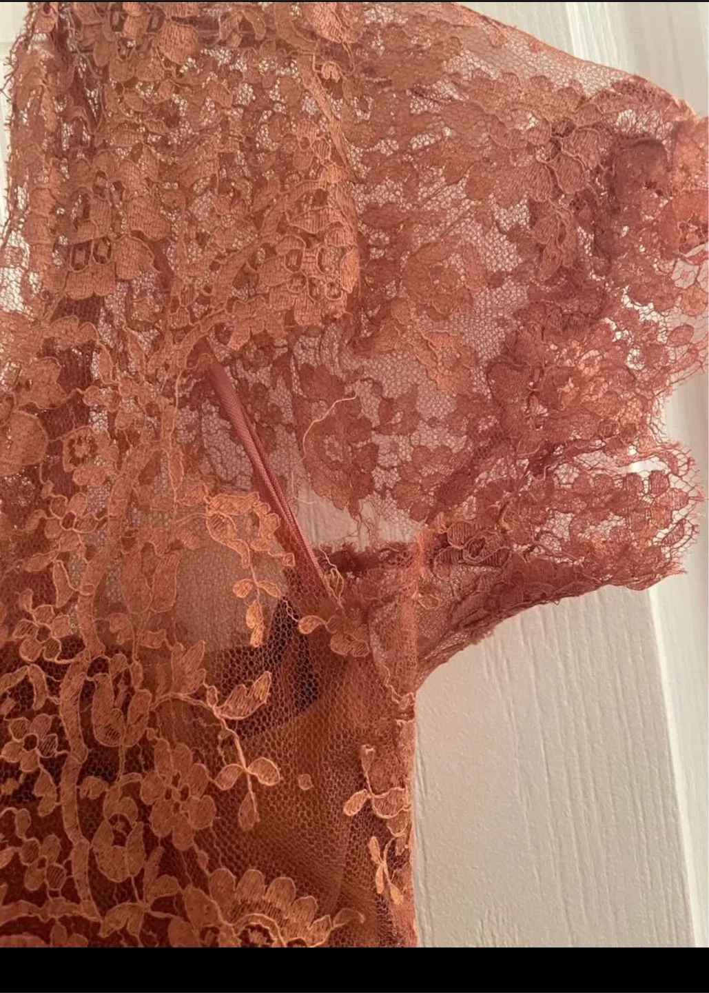 Raphael-Mack Lace Dress - Brown image indicator(6)