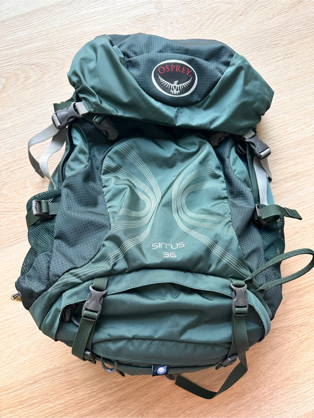 Osprey Sirrus 36 Backpack - Forest Green - photo 3