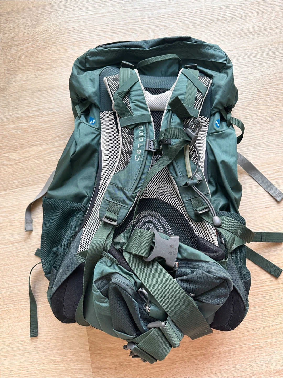 Osprey Sirrus 36 Backpack - Forest Green - photo 2