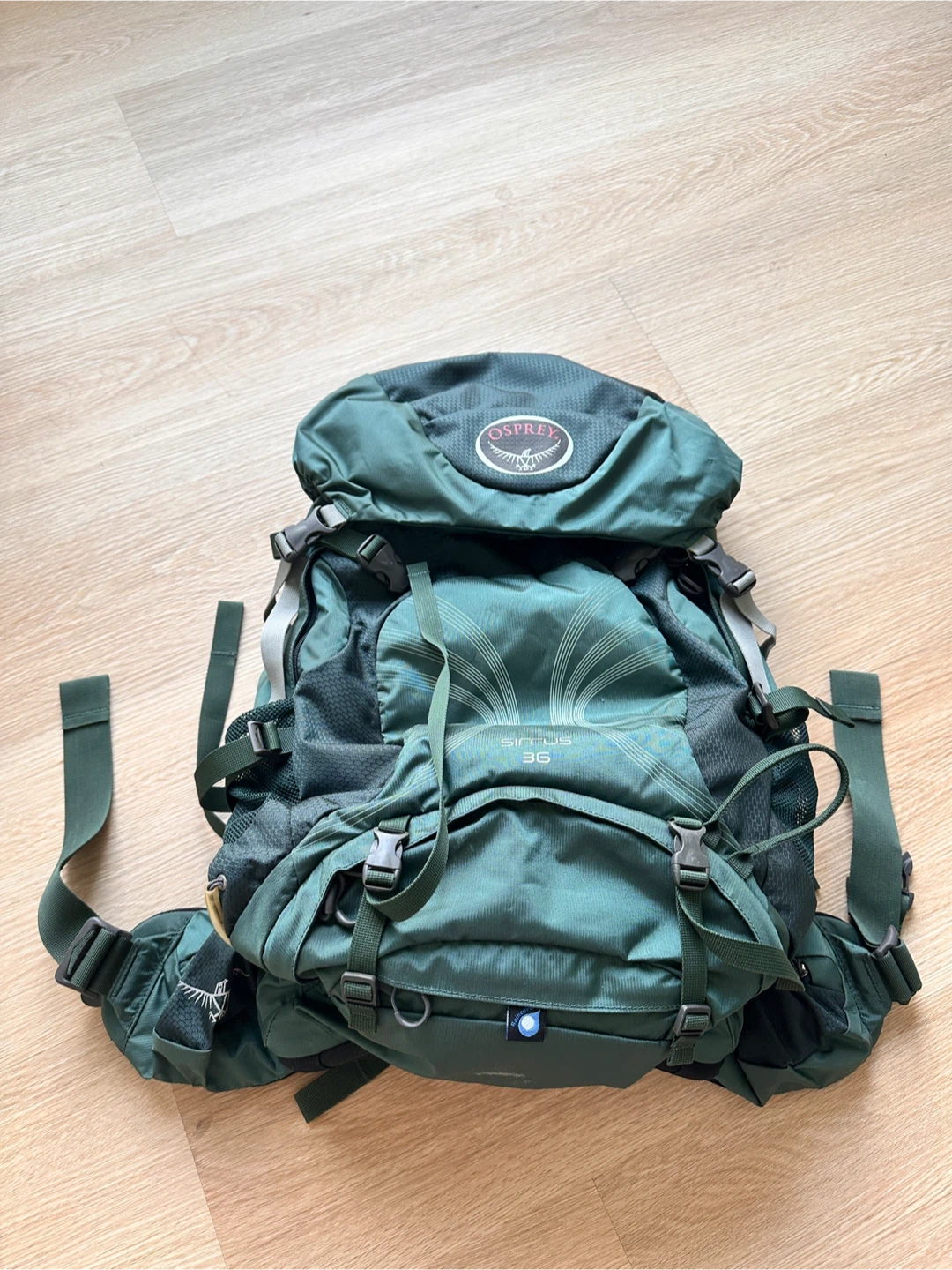 Osprey Sirrus 36 Backpack - Forest Green