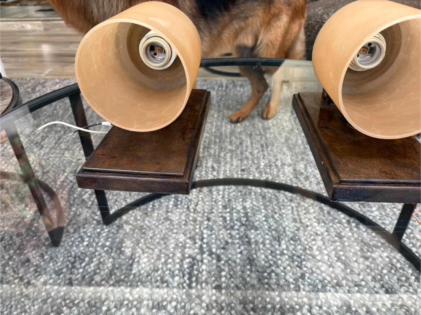 Wall Sconce Lighting image indicator(2)