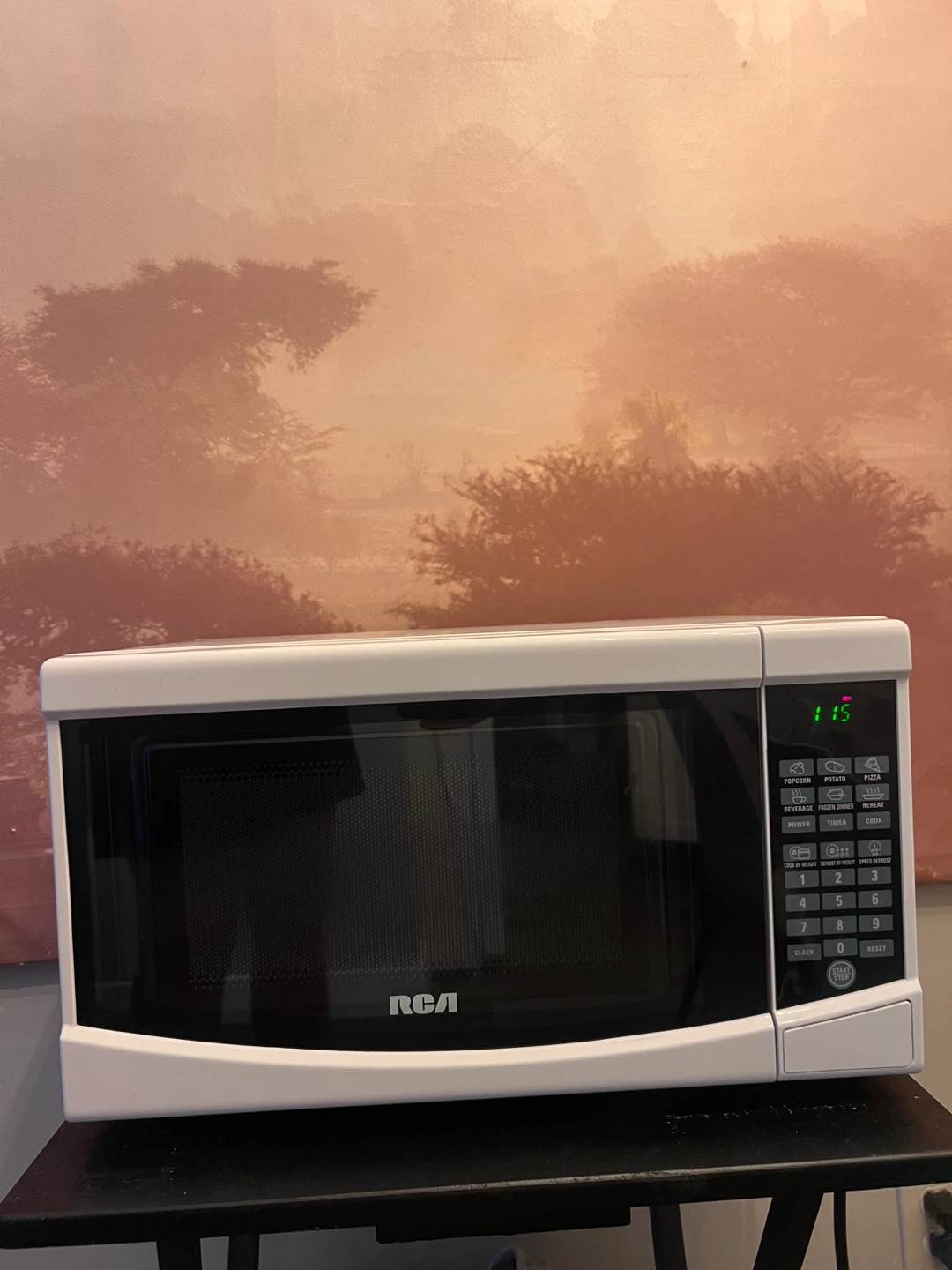 RCA Microwave Oven