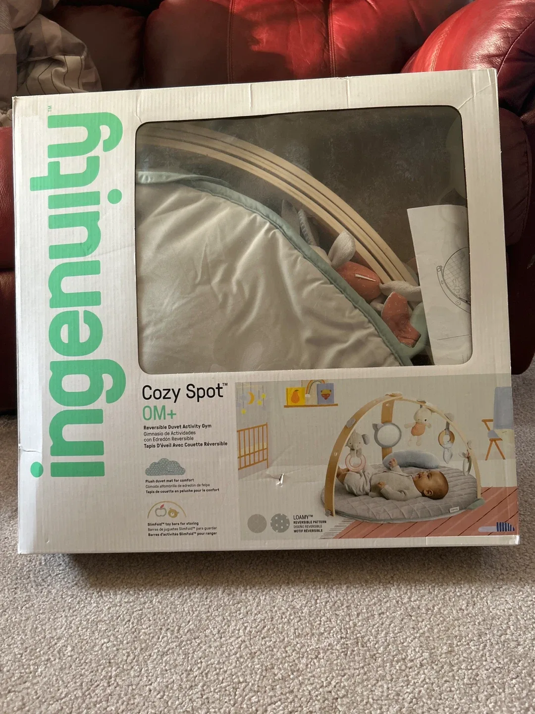 Ingenuity Cozy Spot Reversible Activity Gym (0M+) thumbnail