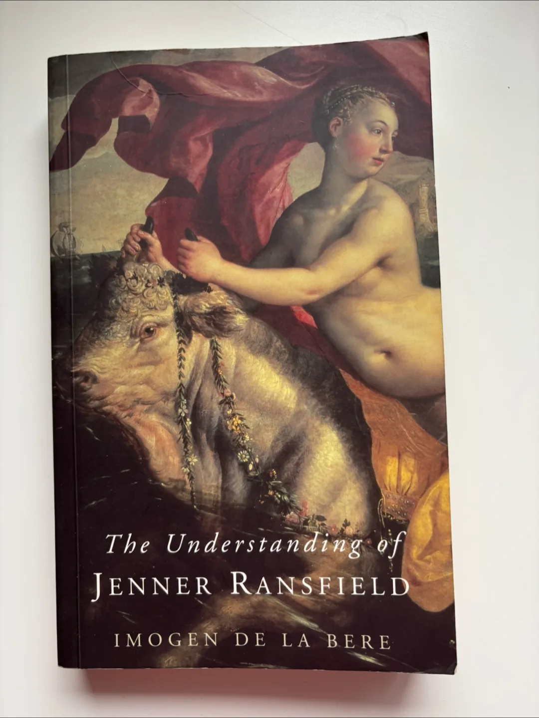The Understanding of Jenner Ransfield by Imogen de la Bere thumbnail