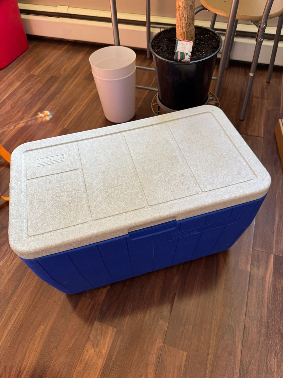 Coleman Cooler - Blue and White