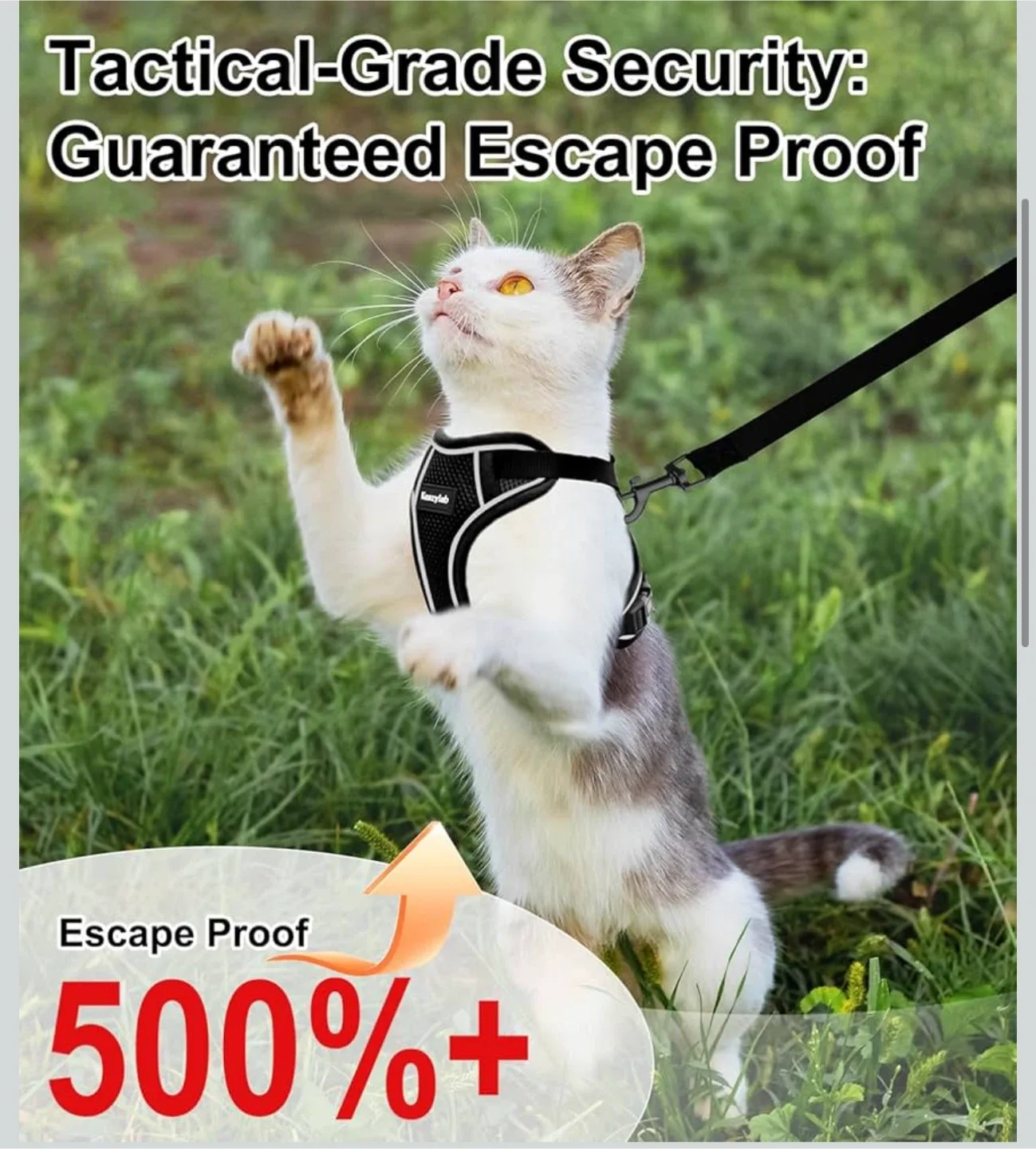 KazyLab Cat Harness - Grade S+ Breathable Mesh Vest image indicator(3)