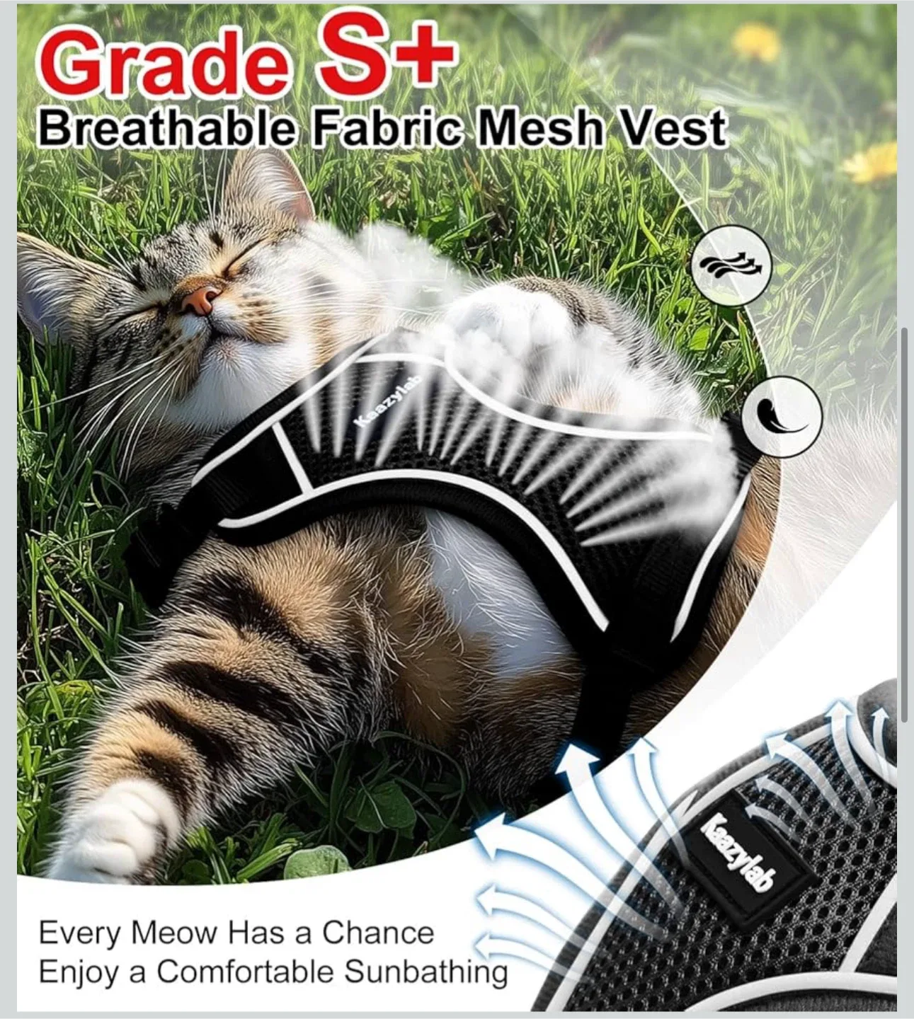 KazyLab Cat Harness - Grade S+ Breathable Mesh Vest image indicator(4)