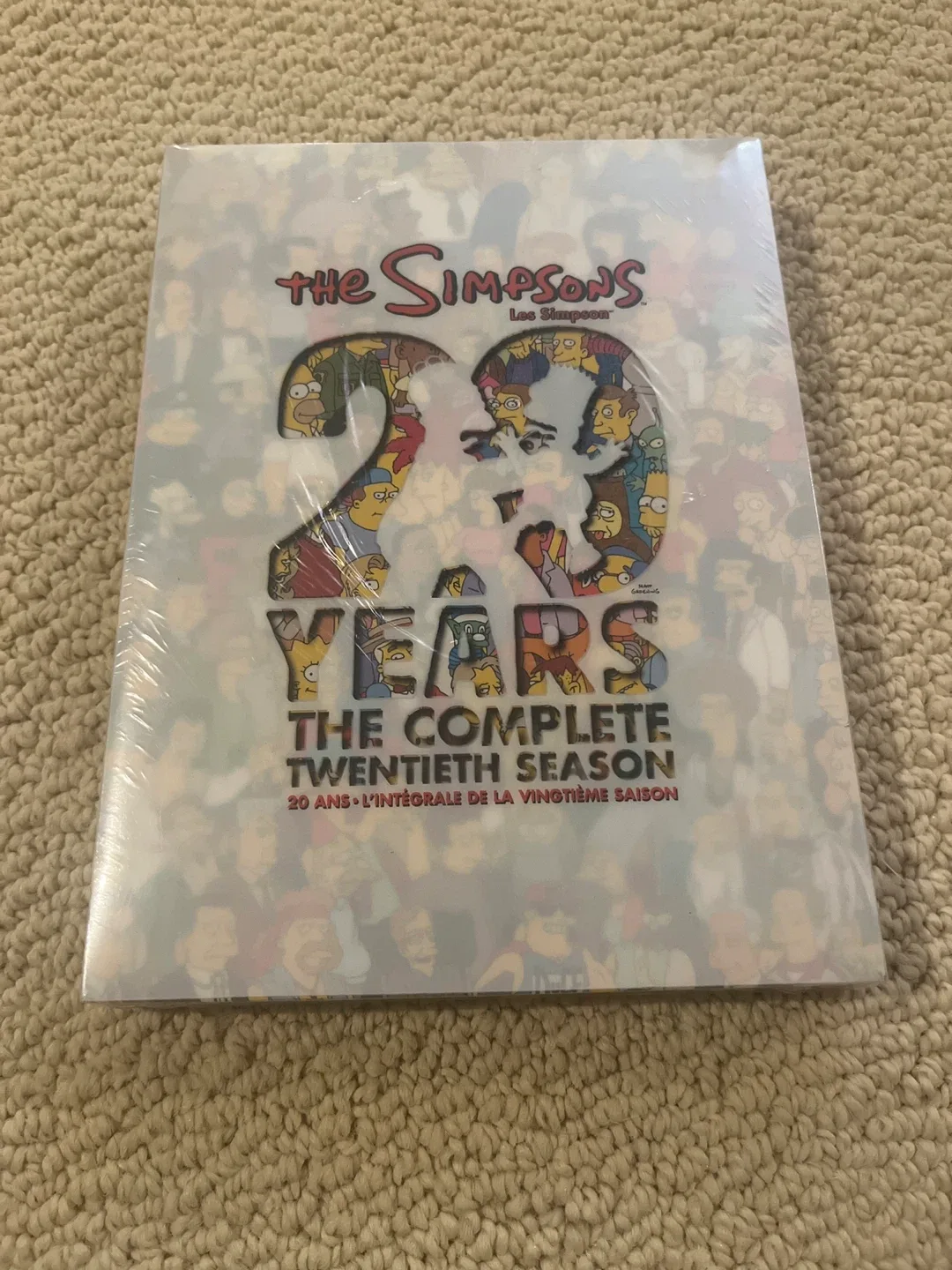 The Simpsons: Complete Twentieth Season thumbnail