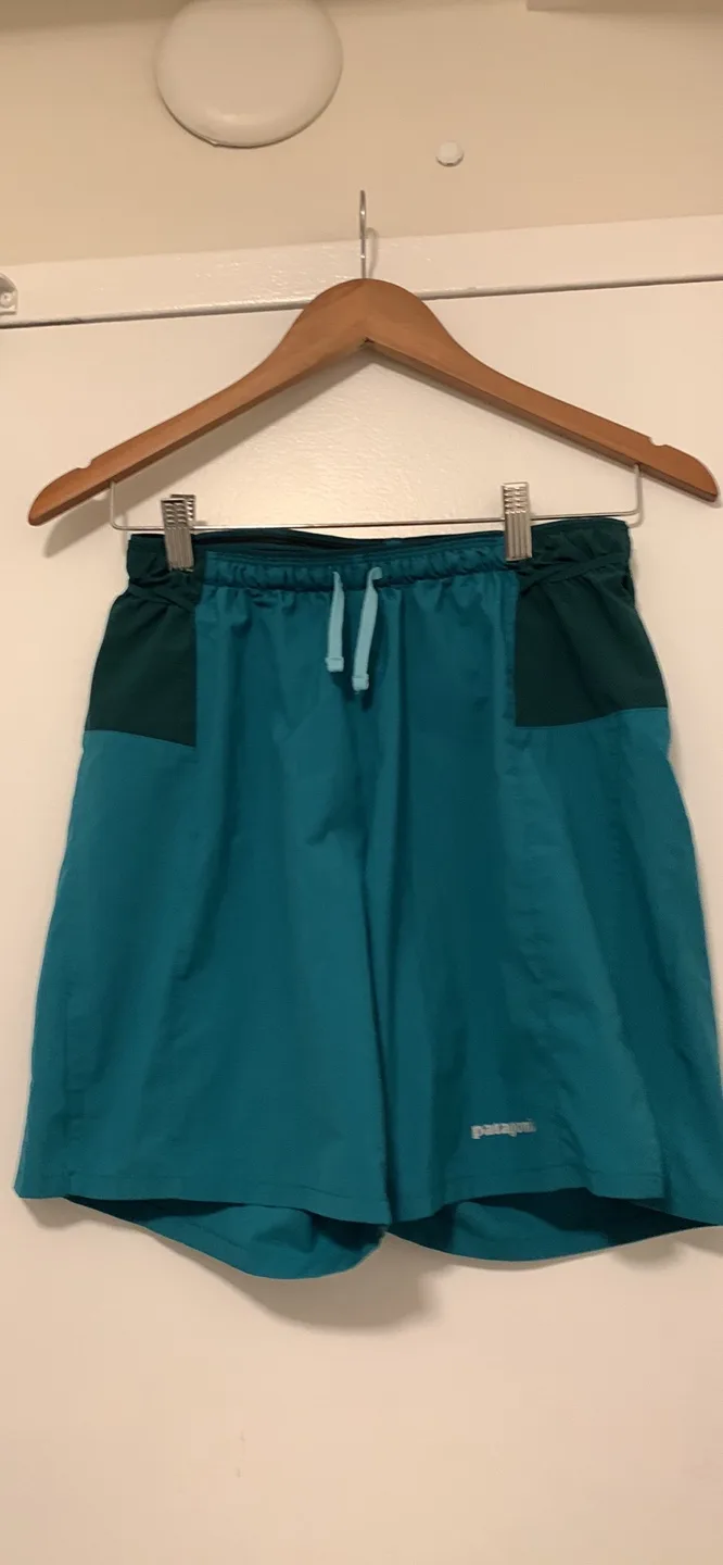 Patagonia Turquoise and Green Shorts thumbnail