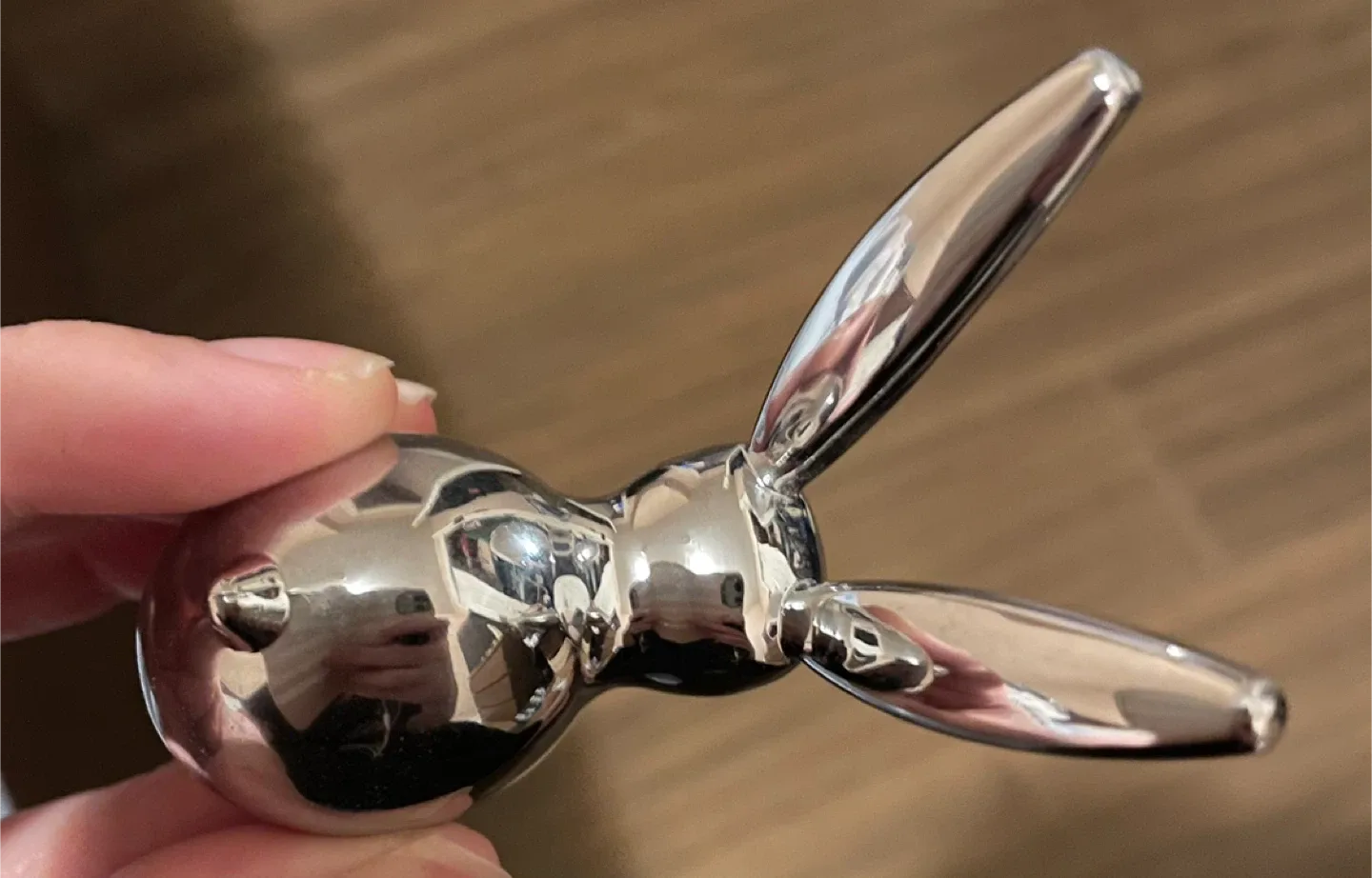 Bunny Ring holder image indicator(2)