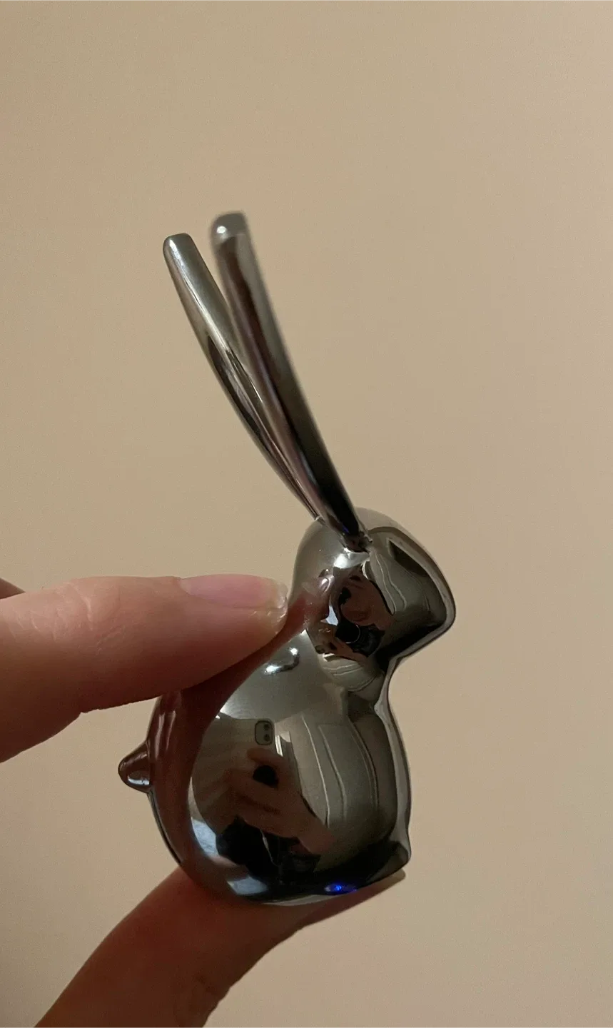 Bunny Ring holder image indicator(3)