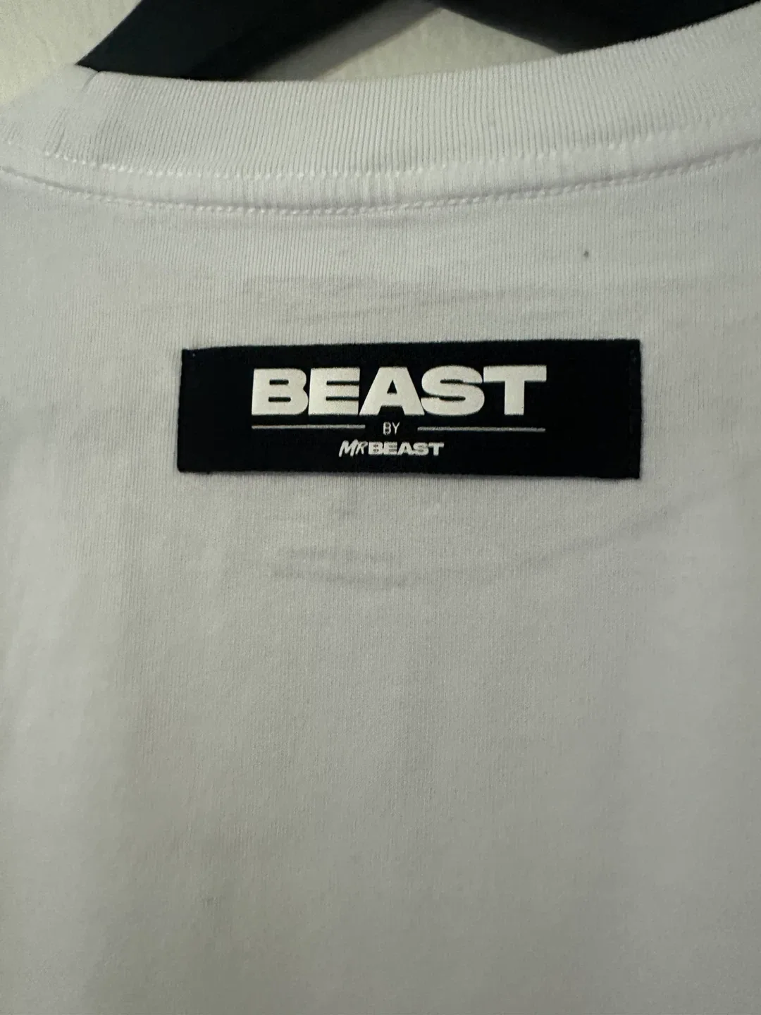 MrBeast Dollar Bill Tee - Size L - White image indicator(4)