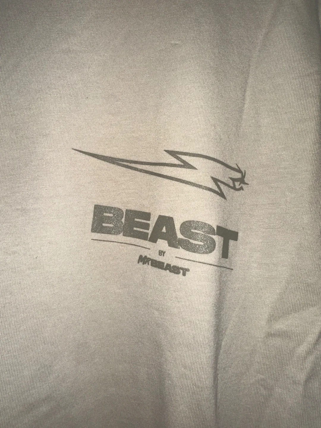 MrBeast Long Sleeve Shirt - Size L image indicator(3)