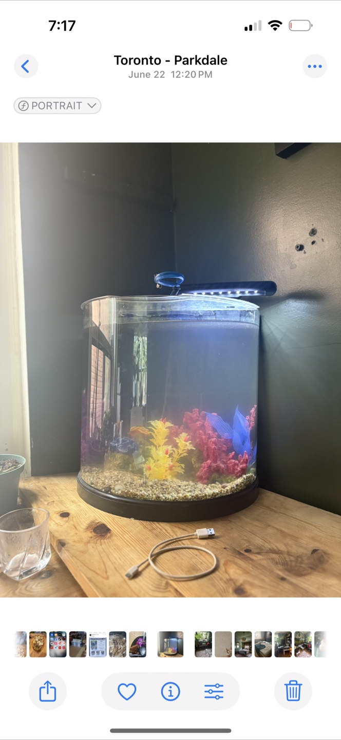 Fish Tank with Accessories - photo 2