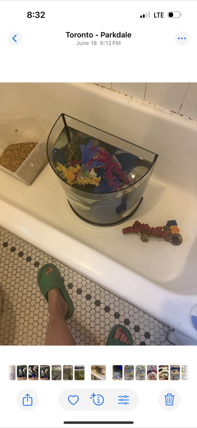 Fish Tank with Accessories