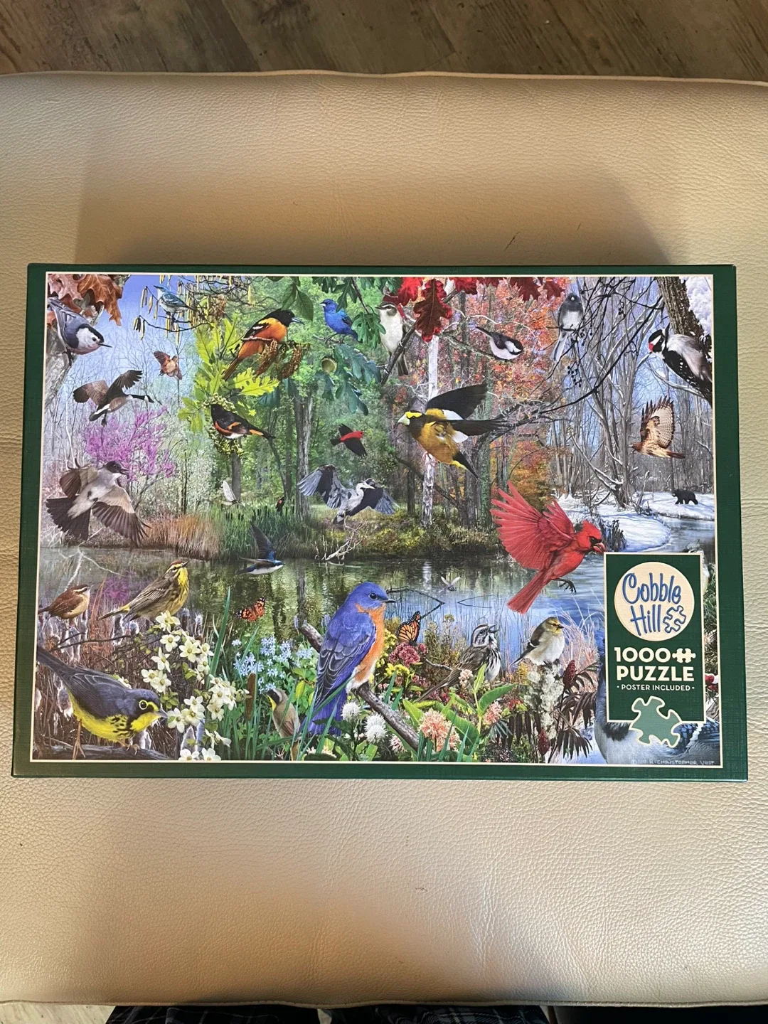 Cobble Hill 1000+ Piece Jigsaw Puzzle thumbnail
