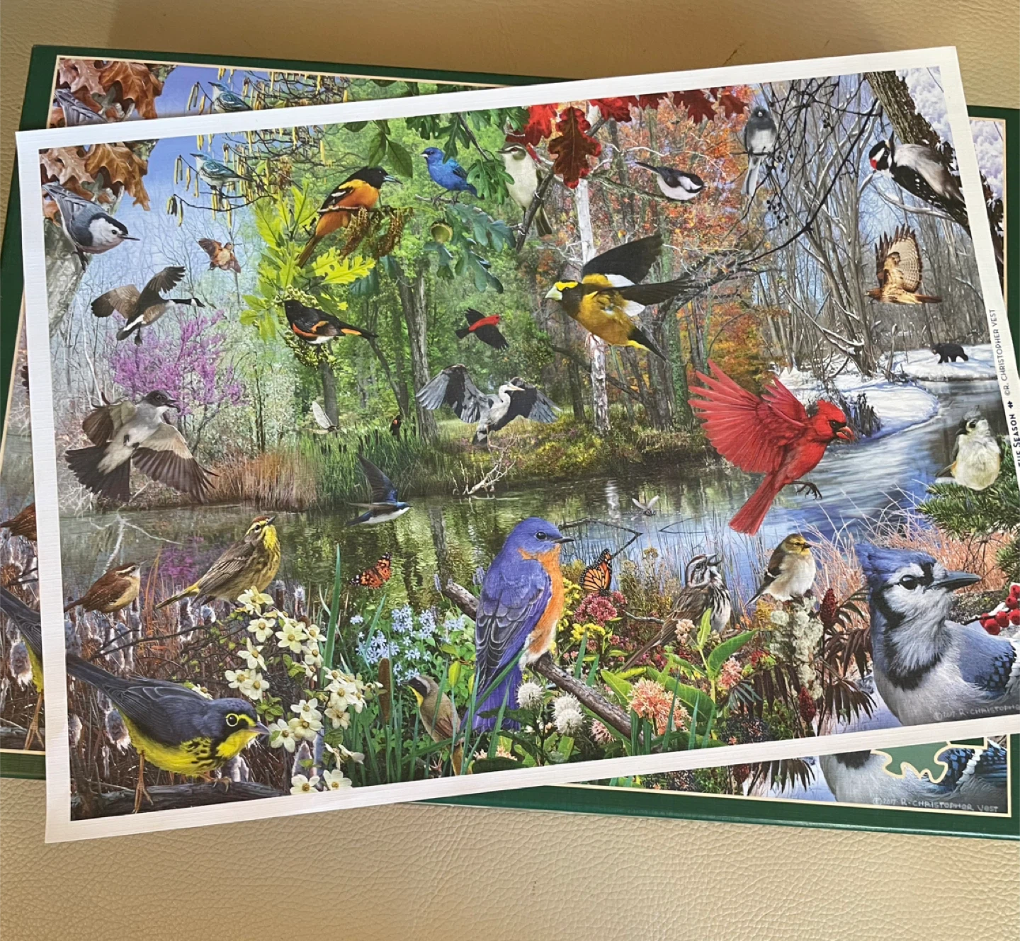 Cobble Hill 1000+ Piece Jigsaw Puzzle - photo 4