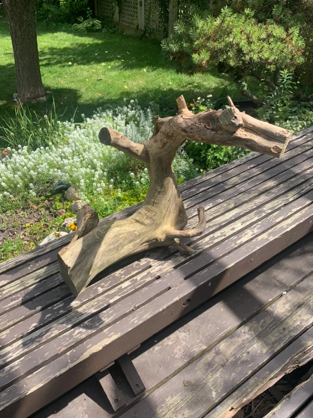 Driftwood Art Piece thumbnail