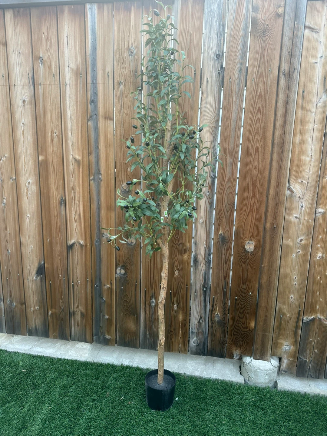 Faux Olive Tree in Pot - photo 3