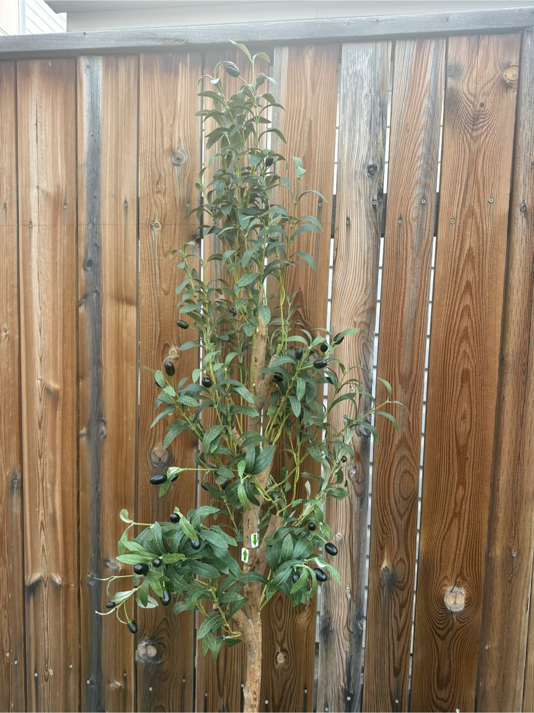 Faux Olive Tree in Pot - photo 2