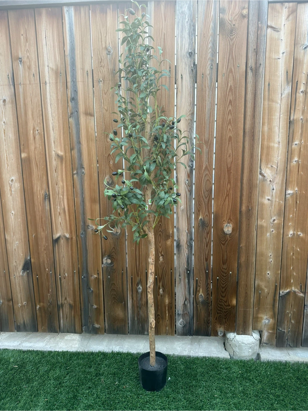 Faux Olive Tree in Pot