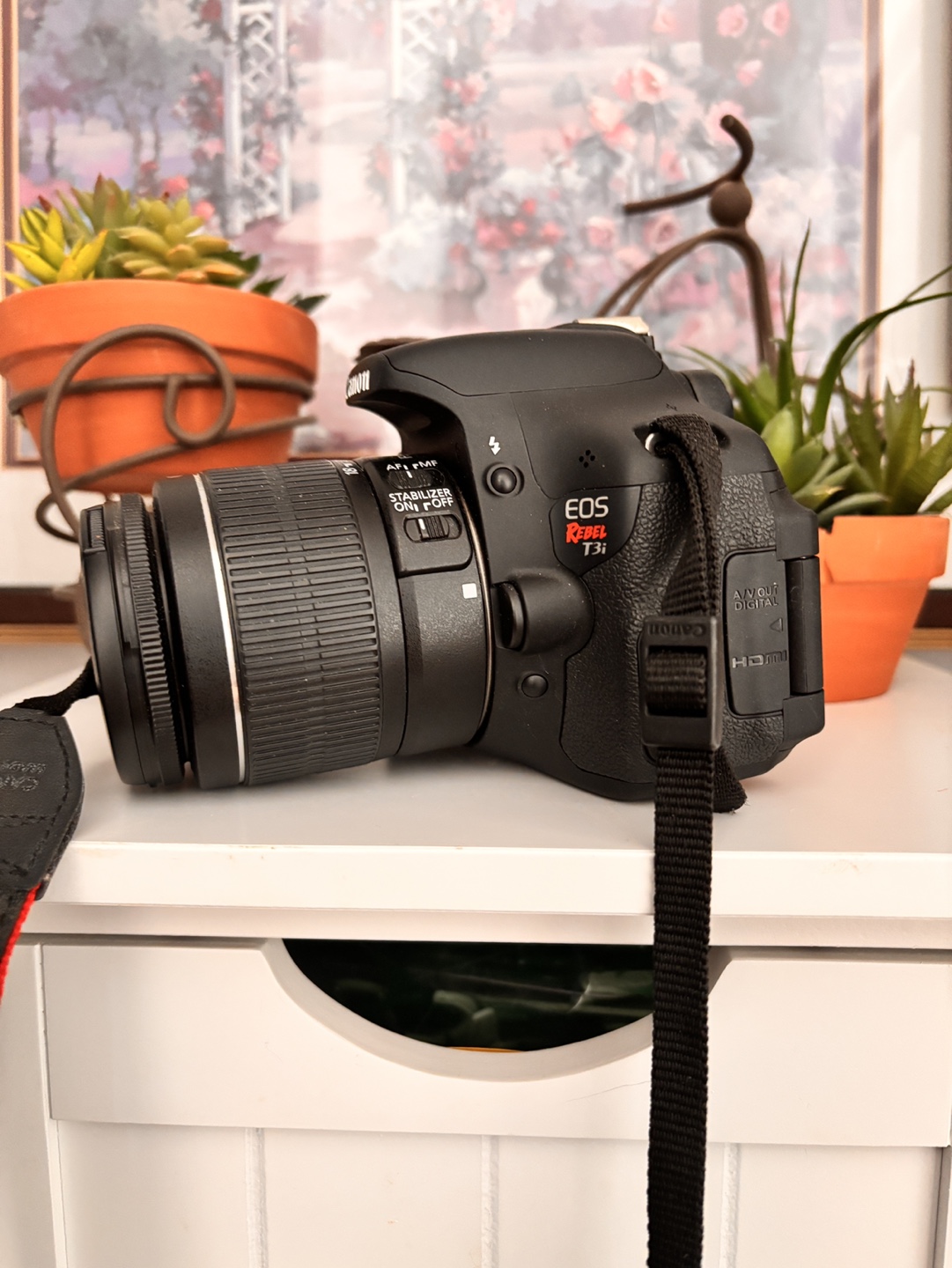 Canon EOS Rebel T3i - photo 3