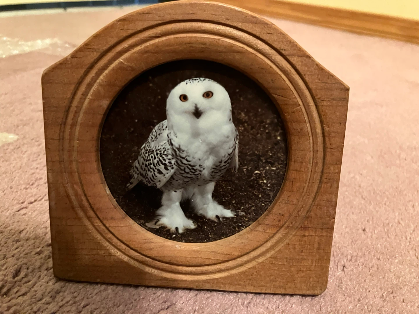 Picture frames