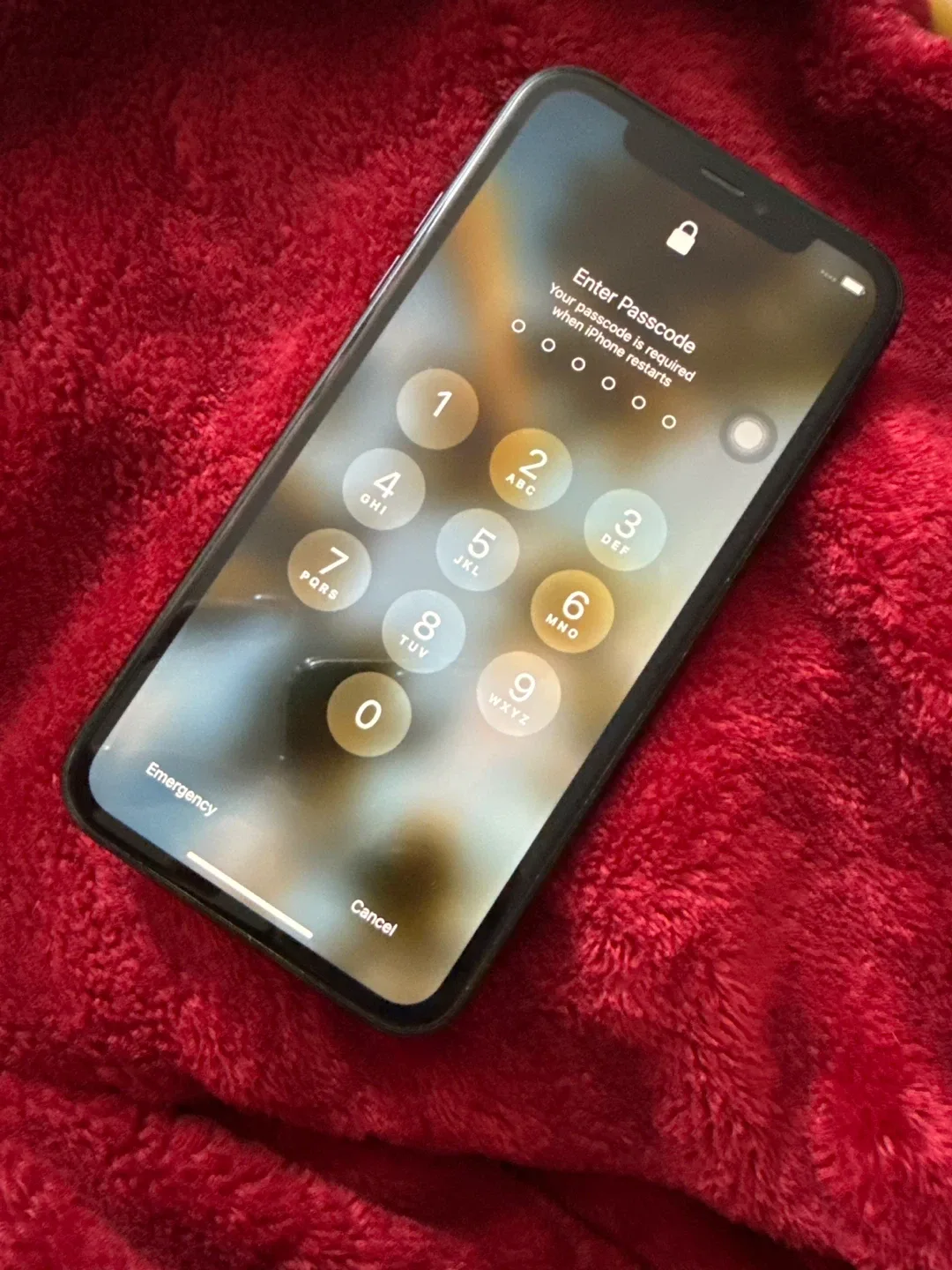 Apple iPhone XR - Black image indicator(5)