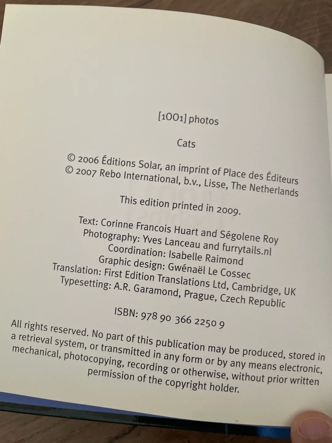 Cats 1001 Photos by REBO Publishers image indicator(3)