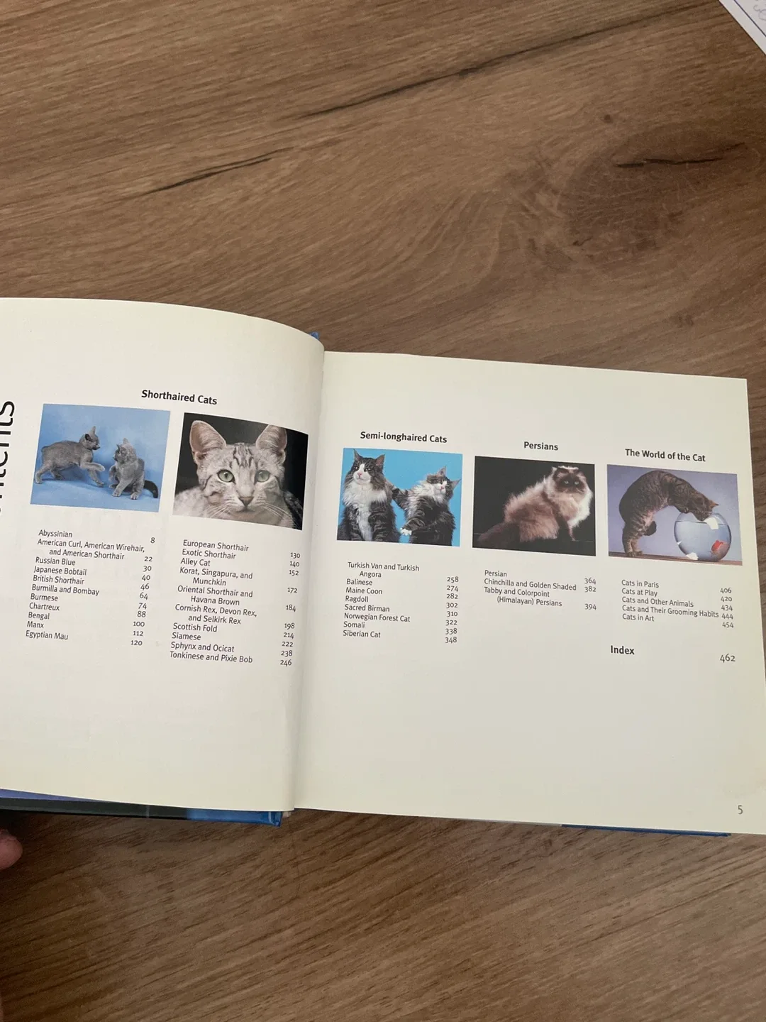 Cats 1001 Photos by REBO Publishers image indicator(4)