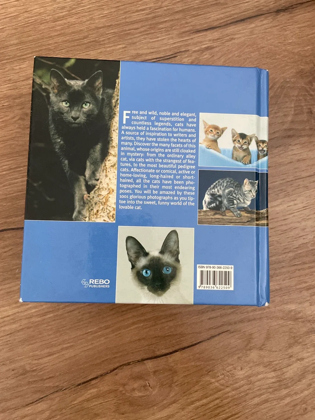 Cats 1001 Photos by REBO Publishers image indicator(2)