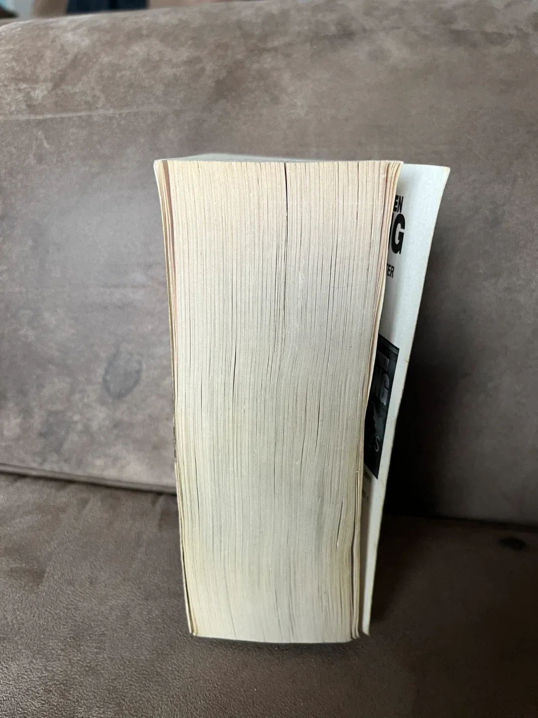 The Stand Stephen King Mass Market Paperback Book image indicator(5)