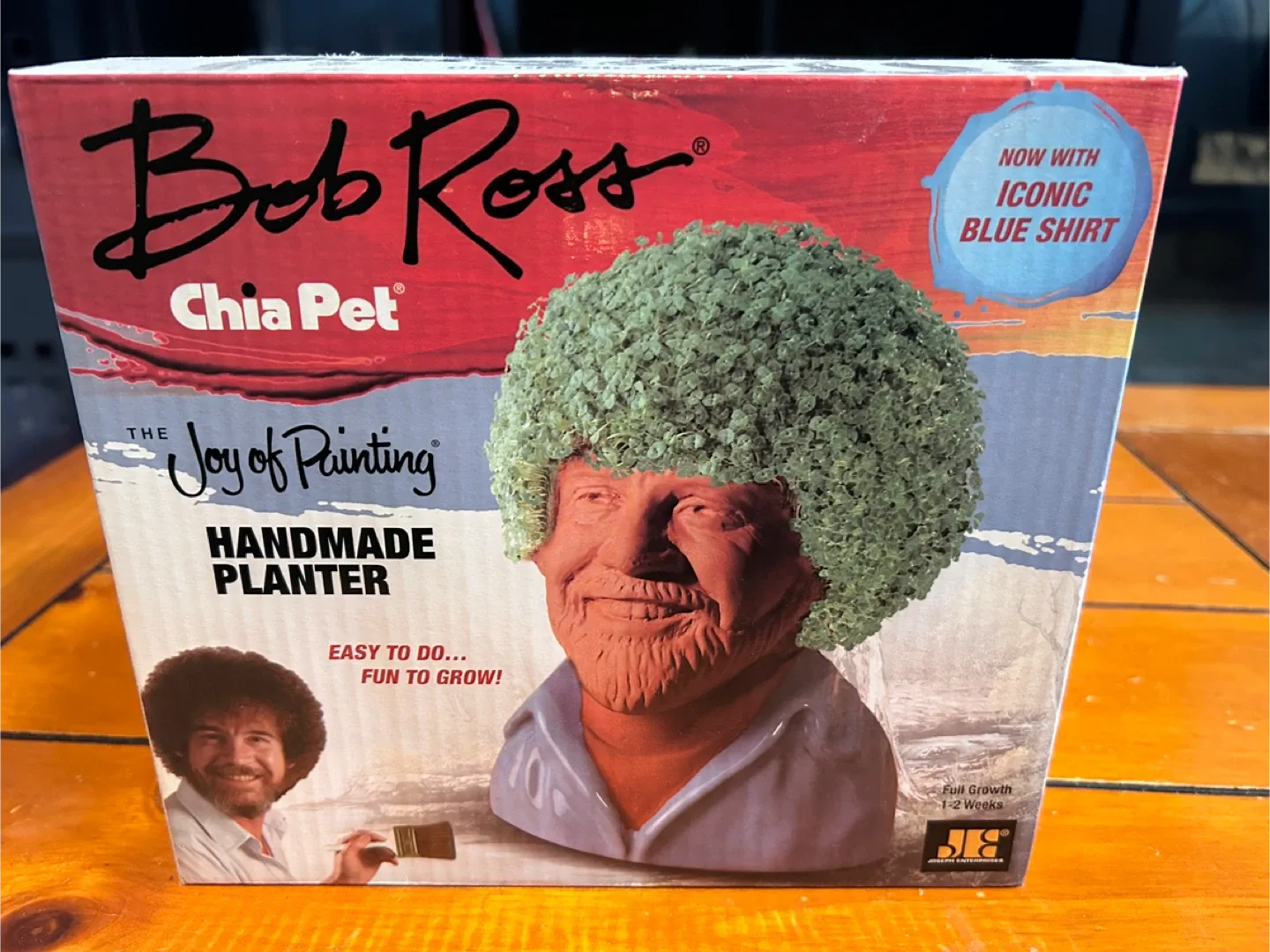 Bob Ross Chia Pet - The Joy of Painting Planter