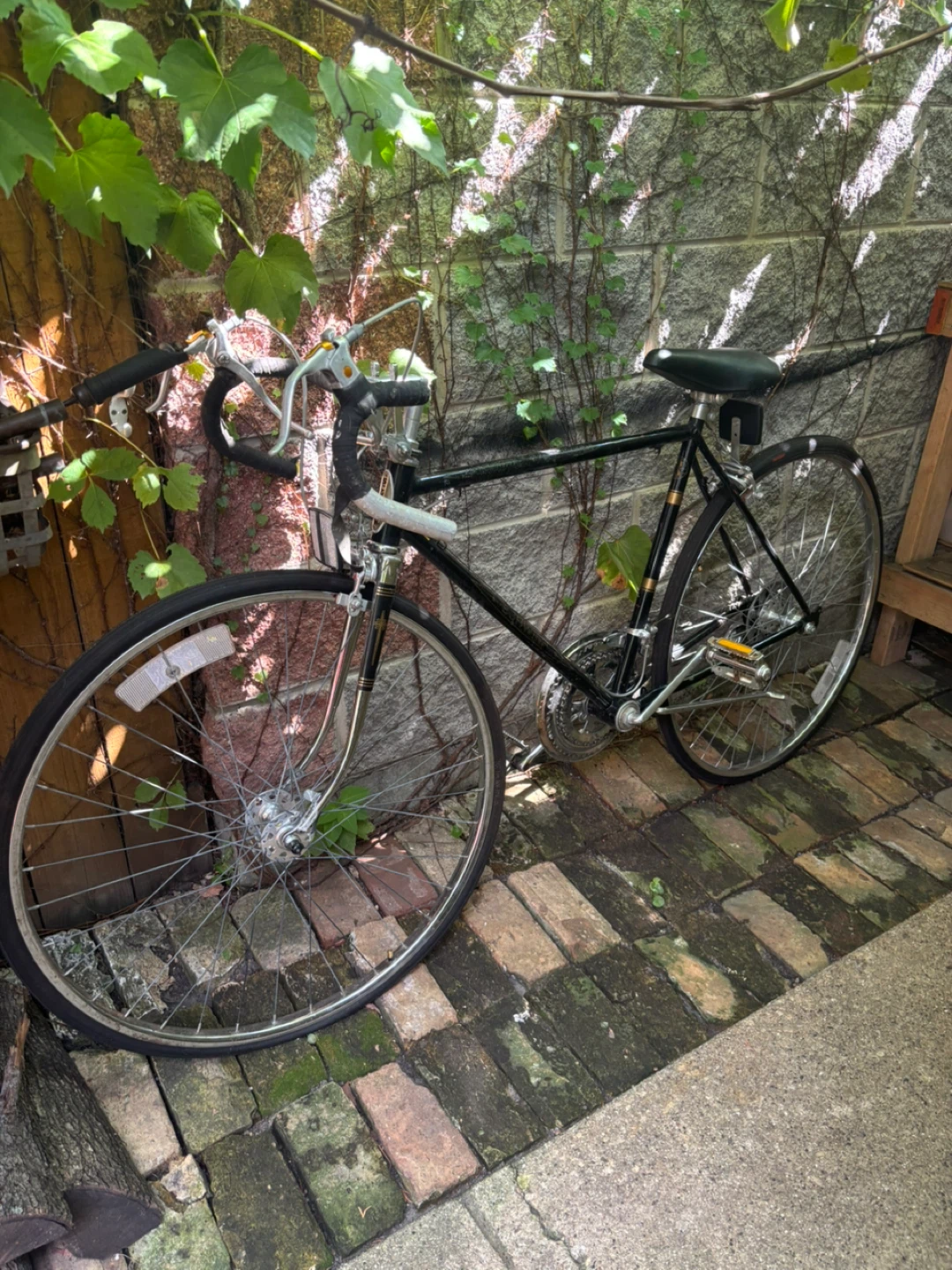 1980 Schwinn 10 speed