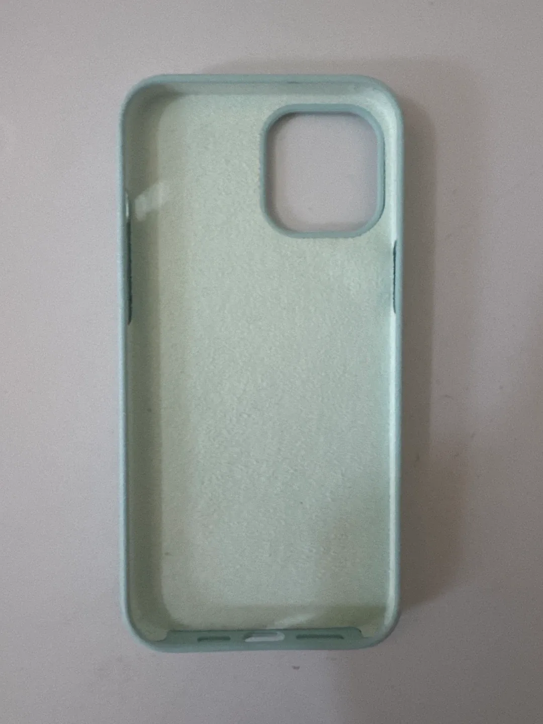 Light Blue iPhone 12 pro max Case image indicator(2)