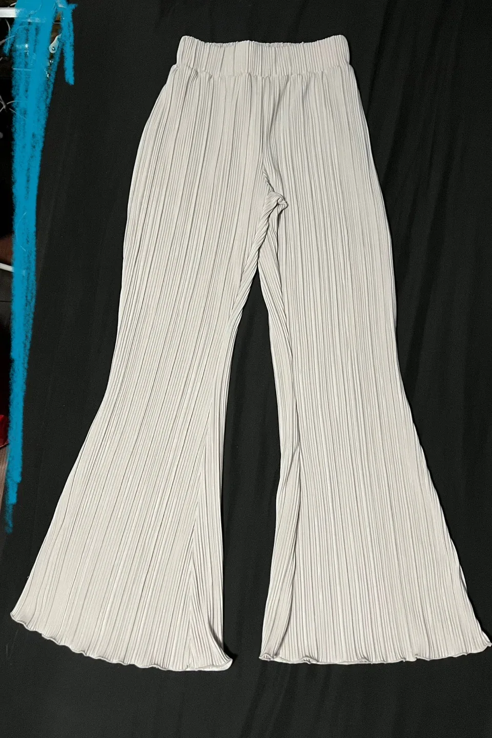 Pleated Flare Leg Pants