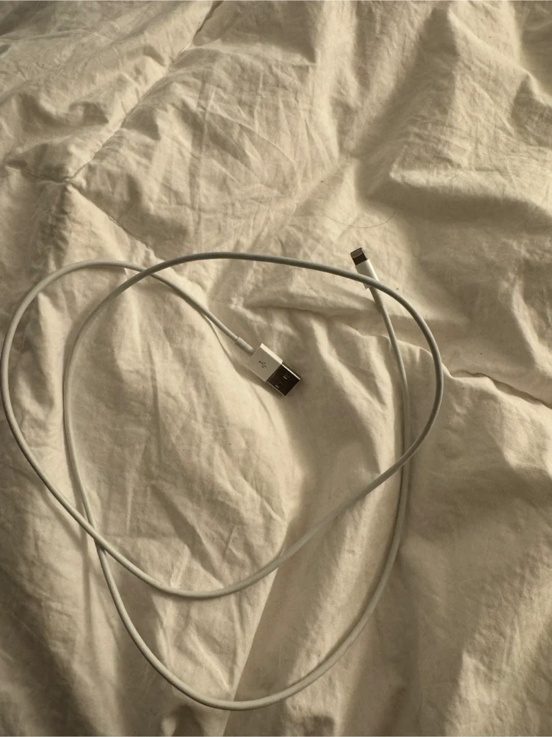 Apple Lightning to USB Cable image indicator(2)