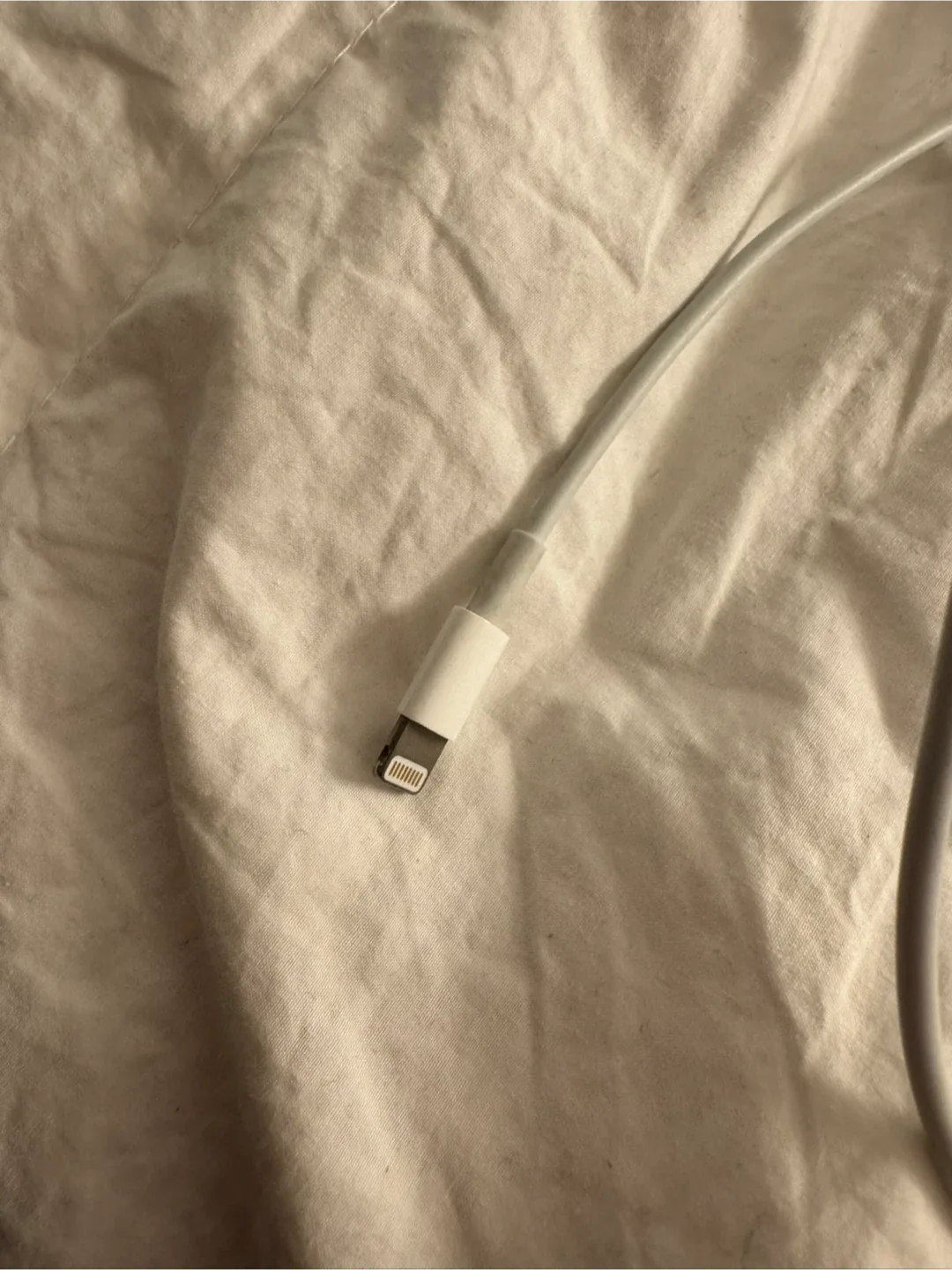 Apple Lightning to USB Cable