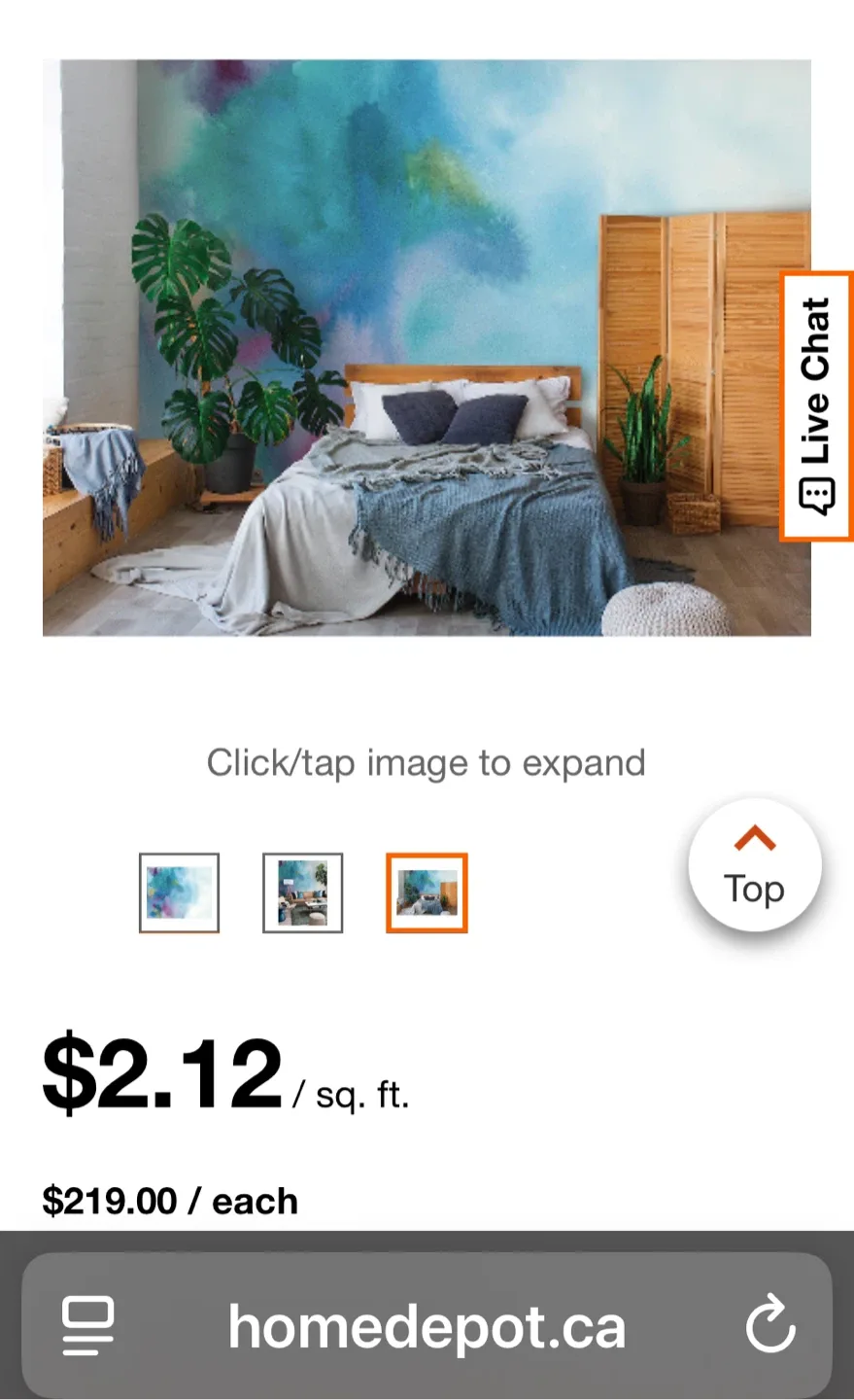 Glenyse Thompson Florida Daybreak Wallpaper Mural image indicator(6)