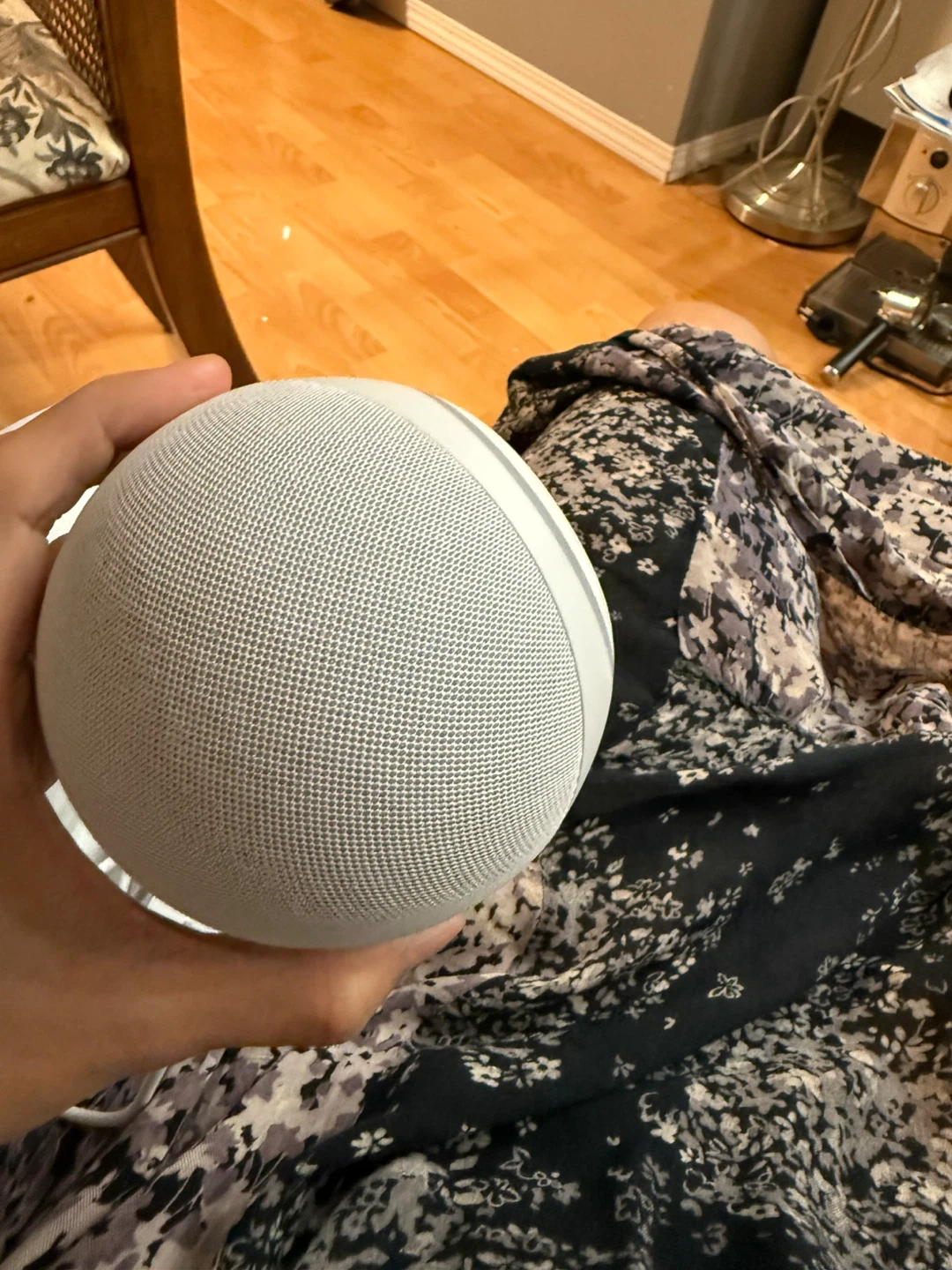 Amazon Echo Dot (4th Gen) Smart Speaker