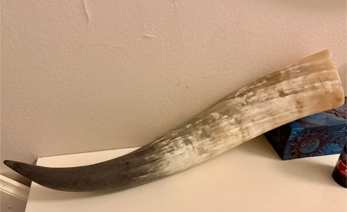Horn / Drinking Horn thumbnail
